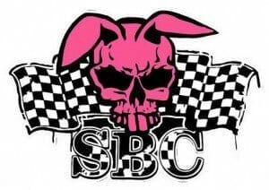 Streetbunnycrew - Pink Rabbit Costume for social engagement 5 www.streetbunnycrew.net