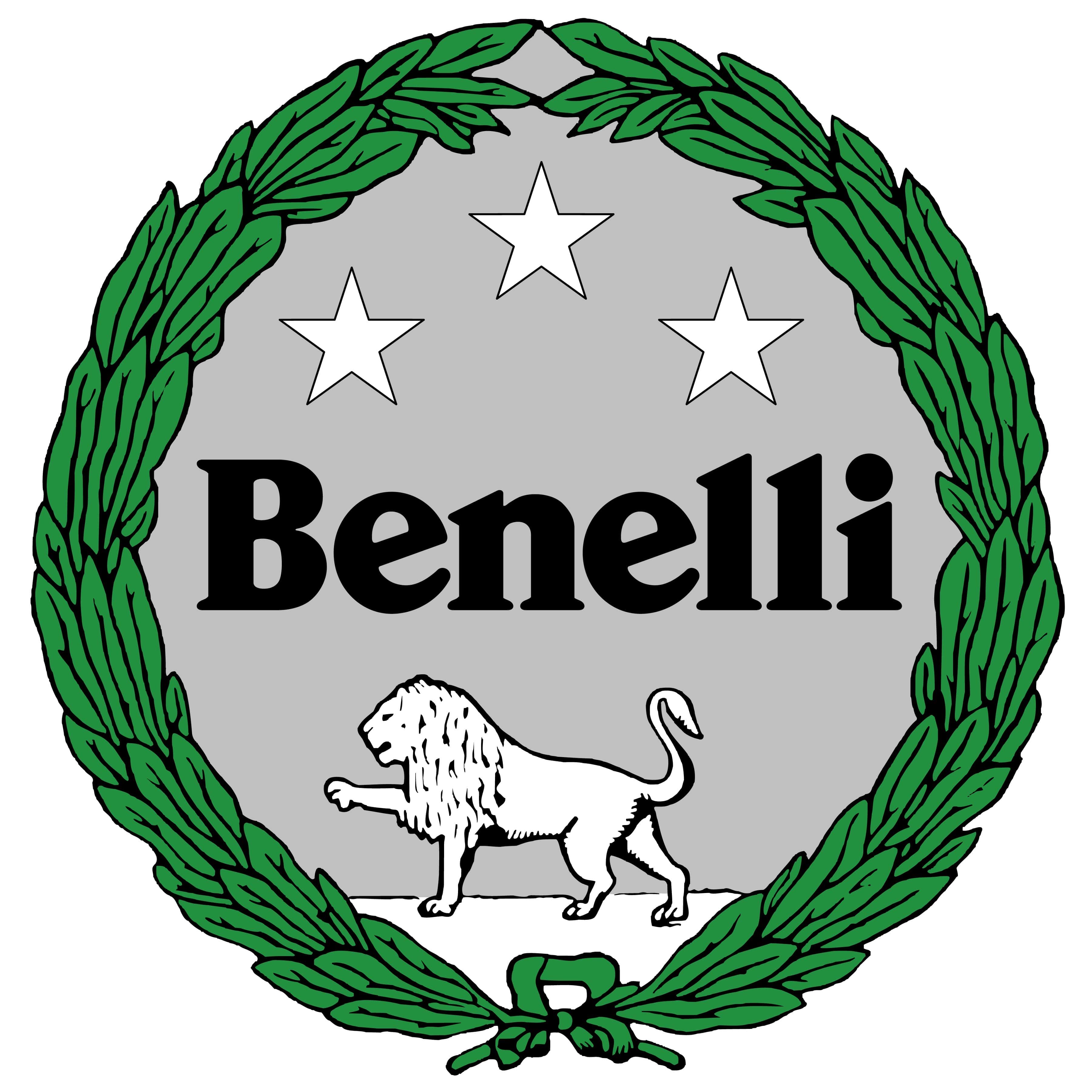 User manual Benelli Velvet (English - 178 pages)