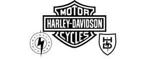 Harley-Davidson could become an electric brand