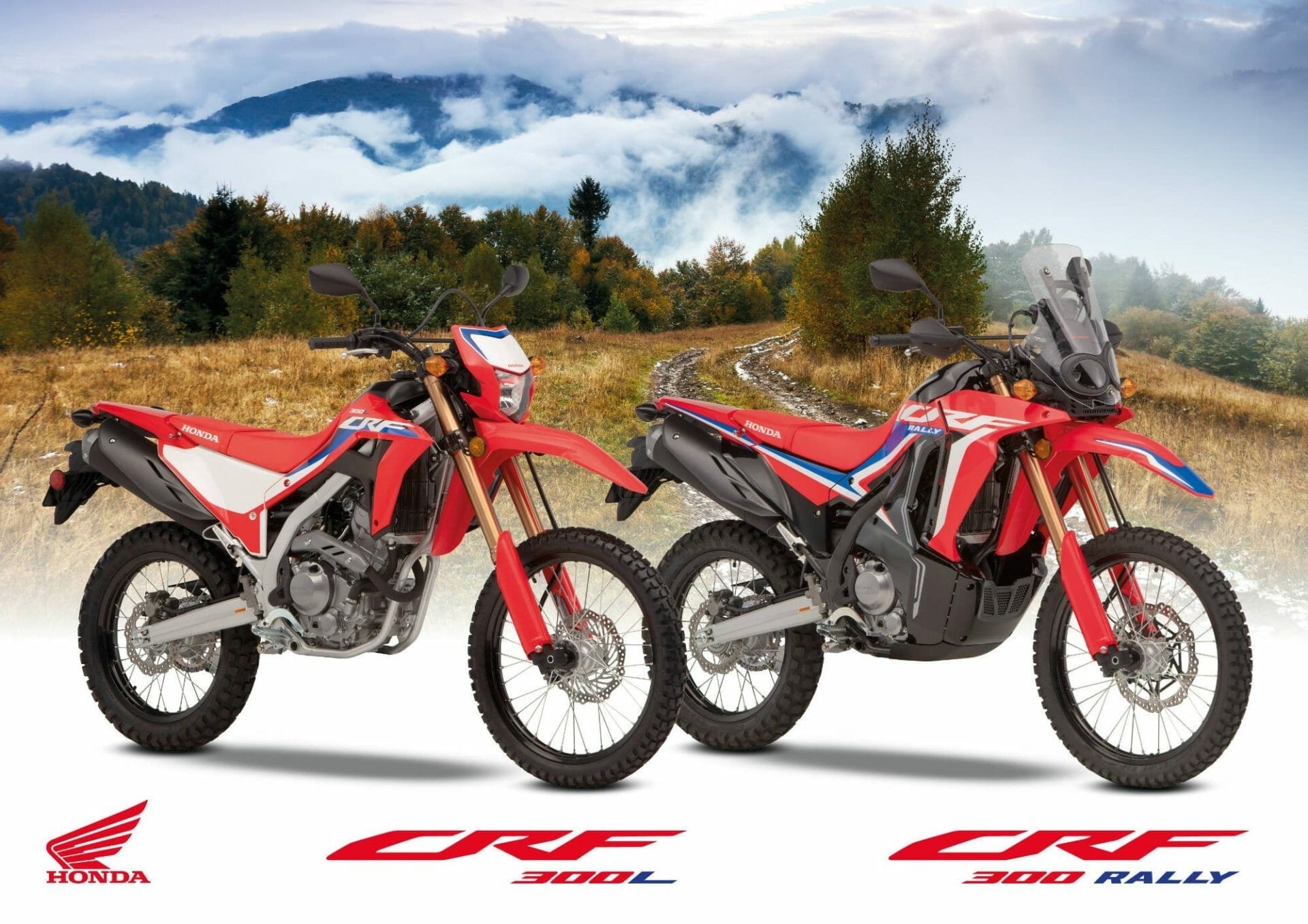 New Honda CRF300L and CRF300 Rally presented
- also in the MOTORCYCLES.NEWS APP