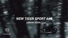 triumph tiger sport 660 angeteas