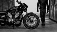 Harley Davidson Nightster 6