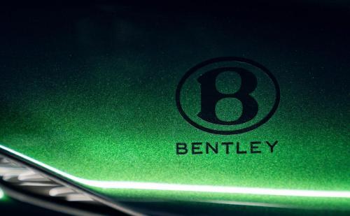 Ducati Diavel for Bentley (4)
